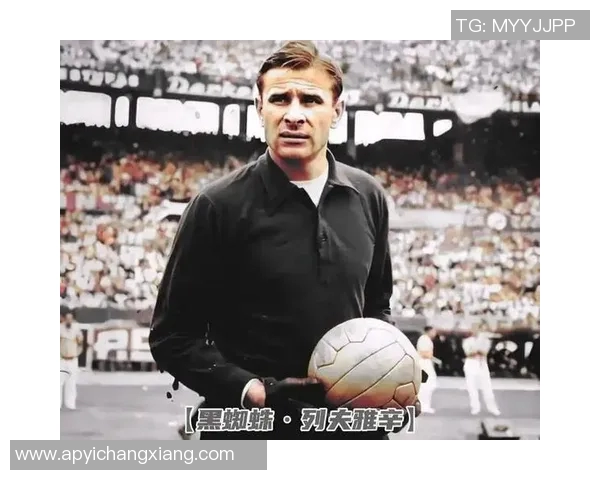 巴巴足球明星盘点及其在国际赛场上的辉煌成就与影响力分析